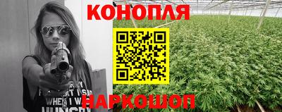 молекула духа Краснознаменск