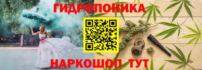 молекула духа Краснознаменск