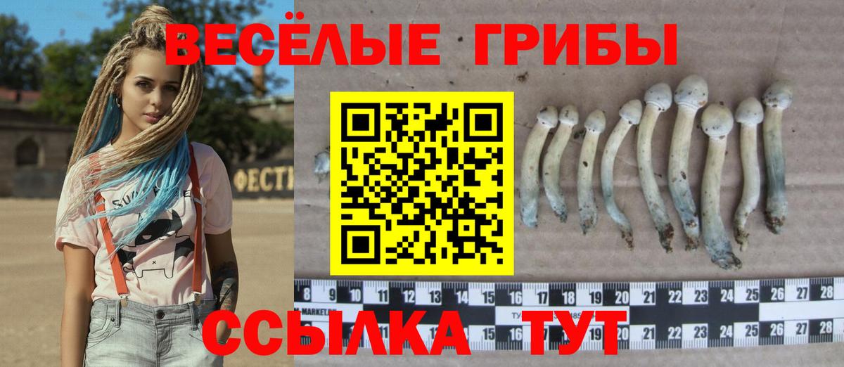 Псилоцибиновые грибы Magic Shrooms Качканар