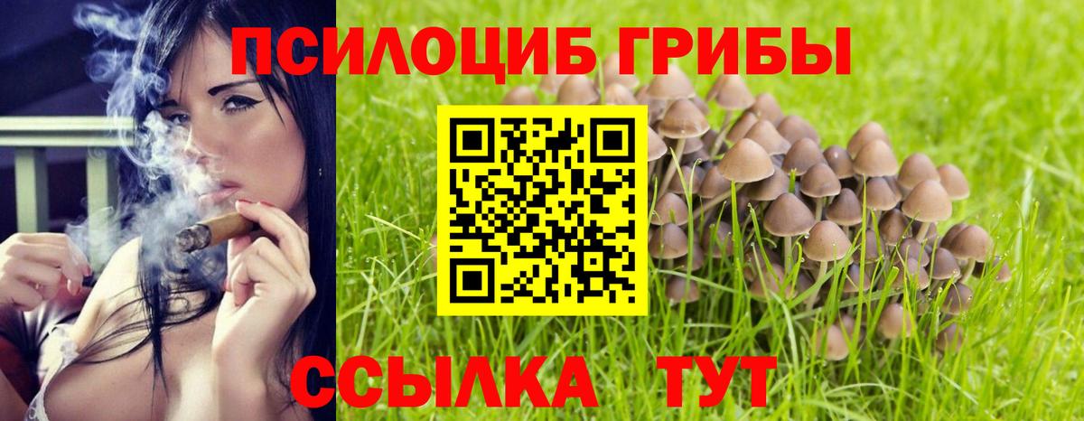 Галлюциногенные грибы мицелий  Вход с VPN  продажа наркотиков  Качканар 